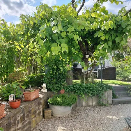 Schneider Appartement *