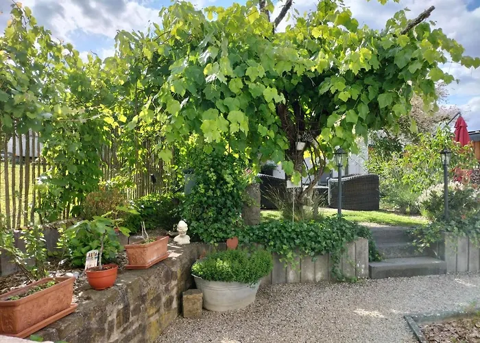 Schneider דירה *